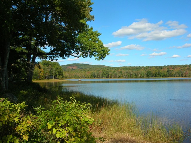 Seven Tree Pond in Union